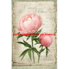 Látkový panel kolekce RŮŽOVÉ KVĚTINY 531-322 Látkový panel kolekce RŮŽOVÉ KVĚTINY 531-322