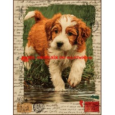 Látkový panel kolekce RAINY DAY 624-4 Látkový panel kolekce RAINY DAY 624-4