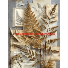 Látkový panel kolekce VINTAGE BOTANICAL 630-128 Látkový panel kolekce VINTAGE BOTANICAL 630-128
