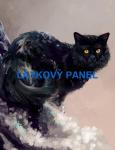Cottonpanel - látkové panely: bavlna, úplet, teplákovina, softshell