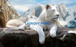 Cottonpanel - látkové panely: bavlna, úplet, teplákovina, softshell
