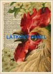 Cottonpanel - látkové panely: bavlna, úplet, teplákovina, softshell