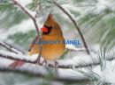 Cottonpanel - látkové panely: bavlna, úplet, teplákovina, softshell