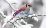 Cottonpanel - látkové panely: bavlna, úplet, teplákovina, softshell
