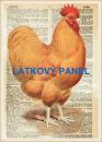 Cottonpanel - látkové panely: bavlna, úplet, teplákovina, softshell