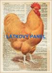 Cottonpanel - látkové panely: bavlna, úplet, teplákovina, softshell