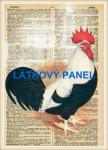 Cottonpanel - látkové panely: bavlna, úplet, teplákovina, softshell