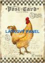Cottonpanel - látkové panely: bavlna, úplet, teplákovina, softshell