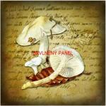 Cottonpanel - látkové panely: bavlna, úplet, teplákovina, softshell