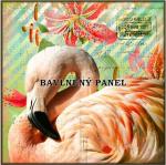 Cottonpanel - látkové panely: bavlna, úplet, teplákovina, softshell