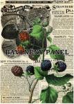 Cottonpanel - látkové panely: bavlna, úplet, teplákovina, softshell