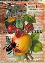 Cottonpanel - látkové panely: bavlna, úplet, teplákovina, softshell