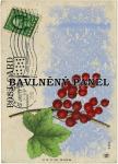 Cottonpanel - látkové panely: bavlna, úplet, teplákovina, softshell