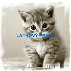 bavlněný panel 25x25 cm  lpz775