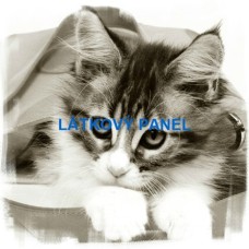 bavlněný panel 25x25 cm  lpz774