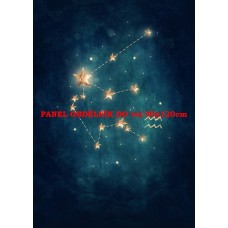 Látkový panel  kolekce ZNAMENÍ - VODNÁŘ  196-163