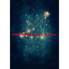 Látkový panel  kolekce ZNAMENÍ - KOZOROH  196-166