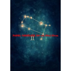 Látkový panel  kolekce ZNAMENÍ - BLÍŽENCI  196-167