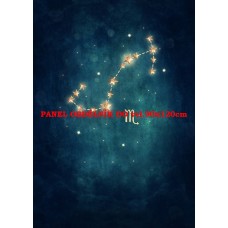 Látkový panel  kolekce ZNAMENÍ - ŠTÍR  196-172