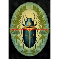 Látkový panel  BROUCI  312-454