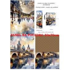 PANEL NA POUZDRO / kniha,tablet /   467d-31