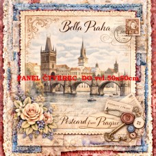 Látkový panel  kolekce DENIM LACE CITIES  497-675