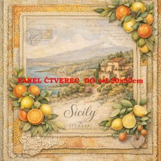 Látkový panel  kolekce DENIM LACE CITIES  497-682