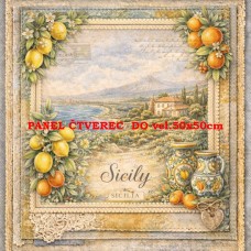 Látkový panel  kolekce DENIM LACE CITIES  497-691