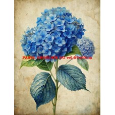 Látkový panel 531-223