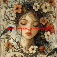 Látkový panel kolekce ŽENY, DÍVKY 535-41