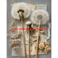 Látkový panel kolekce VINTAGE BOTANICAL 630-123