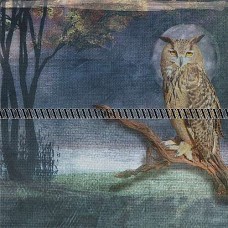 Bavlněná látka-panel Z436