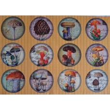 BAVLNĚNÁ LÁTKA - panel 27x40 cm  FNP359