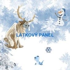 PANEL  - varianty velikostí i materiálu  202FR-P3  -  LEDOVÉ KRÁLOVSTVÍ