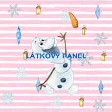  PANEL  - varianty velikostí i materiálu  202FR-P31  -  LEDOVÉ KRÁLOVSTVÍ