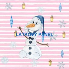  PANEL  - varianty velikostí i materiálu  202FR-P32  -  LEDOVÉ KRÁLOVSTVÍ