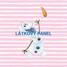  PANEL  - varianty velikostí i materiálu  202FR-P37  -  LEDOVÉ KRÁLOVSTVÍ