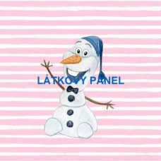  PANEL  - varianty velikostí i materiálu  202FR-P38  -  LEDOVÉ KRÁLOVSTVÍ