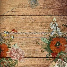 Bavlněná látka-panel Z711