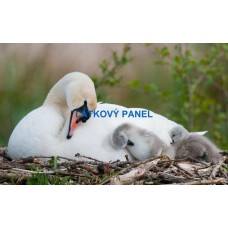 BAVLNĚNÝ PANEL labuť 15x25 cm  zv629