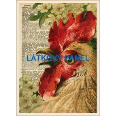 BAVLNĚNÝ PANEL  20x30 cm  far84