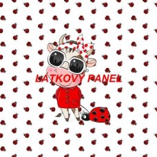 Látkový panel ČTVEREC -  289-20