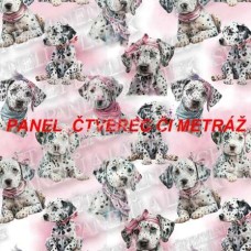 Látkový panel nebo metráž KOLEKCE DALMATIN  -  310-1