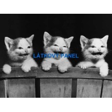 BAVLNĚNÝ PANEL 18x25 cm  zv936