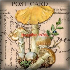 BAVLNĚNÝ PANEL 15x15 cm hou15