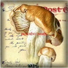 BAVLNĚNÝ PANEL 15x15 cm hou17