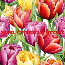 KOČÁRKOVINA  PANEL 45x45 cm koc4