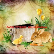 BAVLNĚNÝ PANEL 25x25 cm vef177