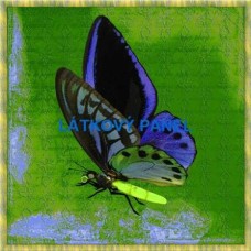 BAVLNĚNÝ PANEL 15x15 cm lpz513