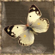 BAVLNĚNÝ PANEL 15x15 cm lpz514
